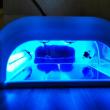 troc de troc lampe uv pour manucure semi-permanente. image 1