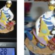 troc de troc oie pour collection : assise sur le sable avec voilier & outils image 1