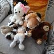 troc de troc lots de peluches image 1