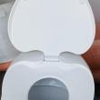 troc de troc toilettes image 1