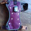 troc de troc harnais violet avec led rechargeable par câble usb dogness taille image 0