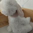 troc de troc peluche mouton image 2