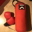 troc de troc sac de boxe et gants pour enfants état neuf image 1