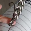troc de troc reserver fidji  bracelet femme image 1