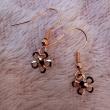 troc de troc reserver  boucle d'oreille femme image 1