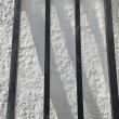 troc de troc portes ( x2) style atelier noir et en verre image 1