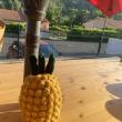 troc de troc ananas crochet image 0