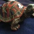 troc de troc tortues image 1