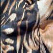 troc de troc veste 40 image 2