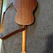 troc de troc guitare furch parlor électro image 1