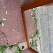 troc de troc miroir image 1
