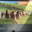 troc de troc reserve - calendrier cheval 2010 image 0