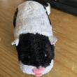troc de troc zhu zhu pet image 0