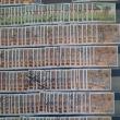 troc de troc echange timbres de zambie zambia contre flyers uniquement image 1
