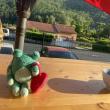 troc de troc grenouille image 1