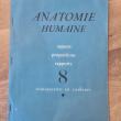 troc de troc anatomie humaine – aspects, proportions, rapports image 0