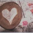 troc de troc reserve ginkgo carte postale amour 59 image 0