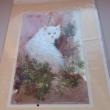 troc de troc reservees  2 cartes anniversaire image 1