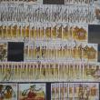 troc de troc echange timbres de zambie zambia contre flyers uniquement image 0