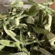 troc de troc verveine citron séchée pot 10 g image 2