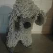 troc de troc peluche chien image 0