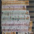 troc de troc echange timbres de zambie zambia contre flyers uniquement image 2
