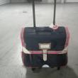 troc de troc cartable/valise fille image 0