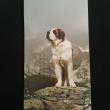 troc de troc carnet de notes saint bernard image 0