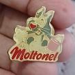 troc de troc pins " moltonel " image 0