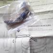 troc de troc 6 ressorts pour stabiliser bocaux image 0
