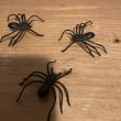 troc de troc 5 araignées en plastique image 0