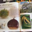 troc de troc revue wakou 3/7ans sur la nature n°163 oct 02 manque p17 a 20 image 2