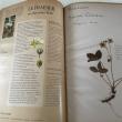 troc de troc l herbier oublié image 2