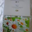 troc de troc carte marguerites en fleurs & son enveloppe blanche image 1