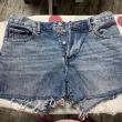 troc de troc short t40 image 0