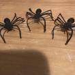 troc de troc 5 araignées en plastique image 1