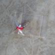 troc de troc boucle d oreille rose neuf image 0