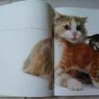 troc de troc beau livre sur les chats, très bon état image 1
