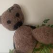 troc de troc ours en crochet image 1
