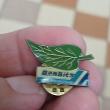 troc de troc un pins image 1
