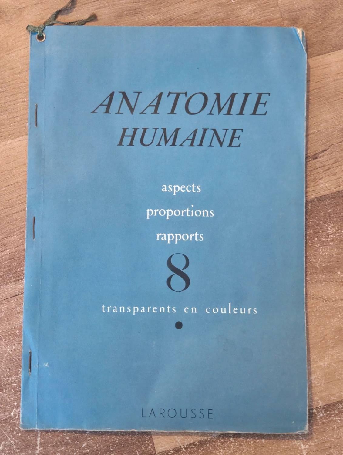 troc de troc anatomie humaine – aspects, proportions, rapports image 0