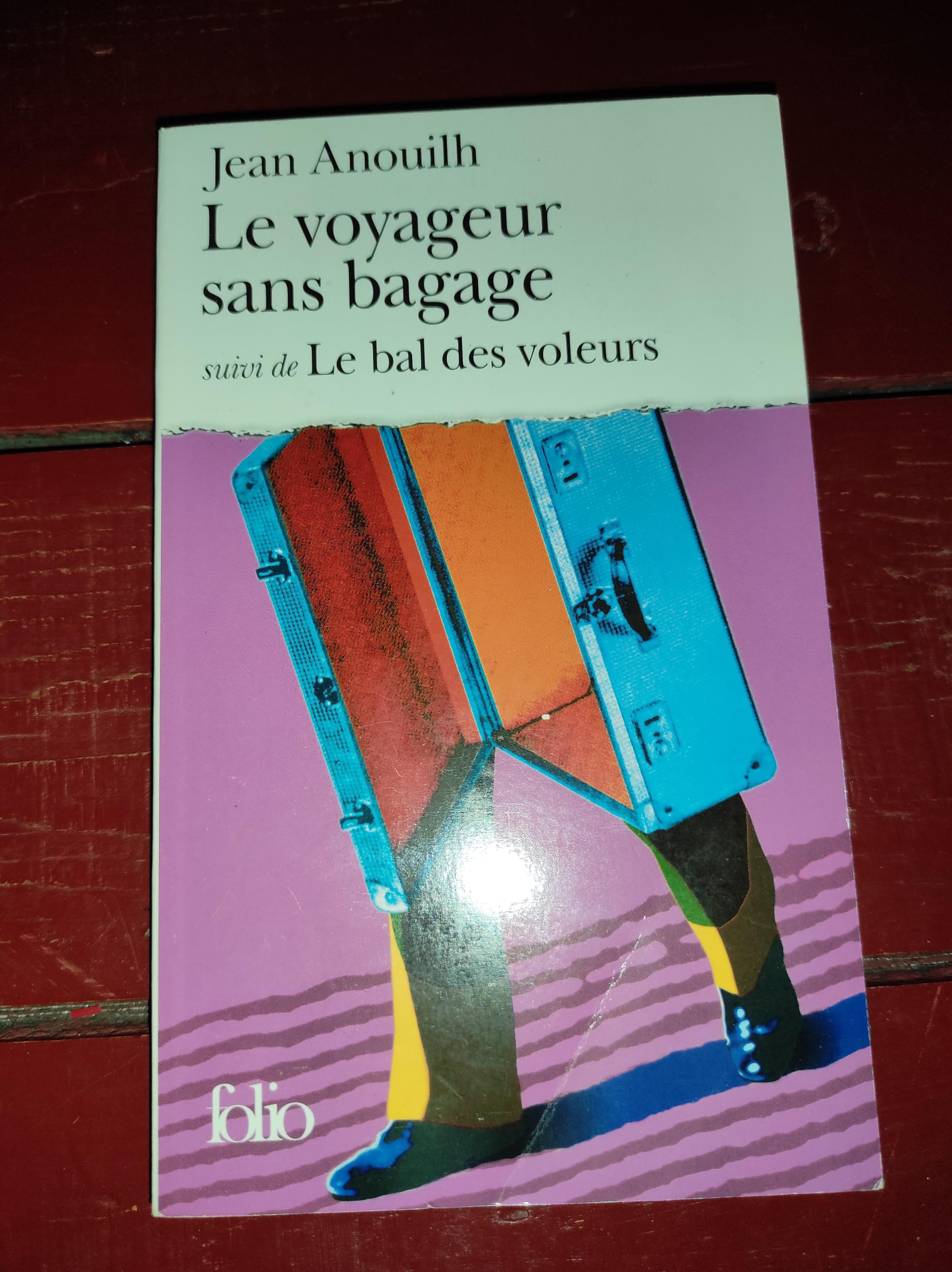 troc de troc livre le voyageur sans bagage image 0