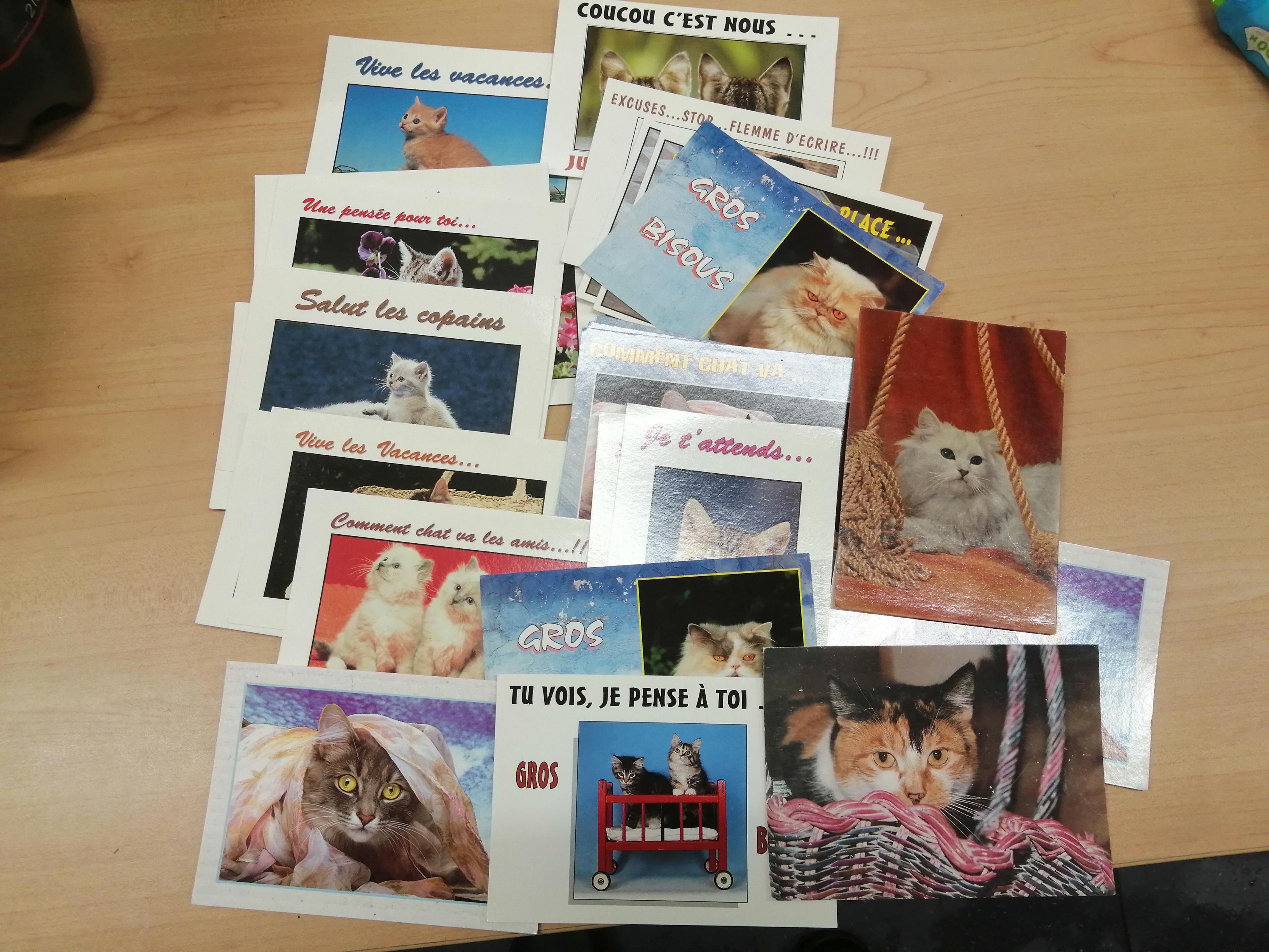 troc de troc petit lot cartes postales chat image 0