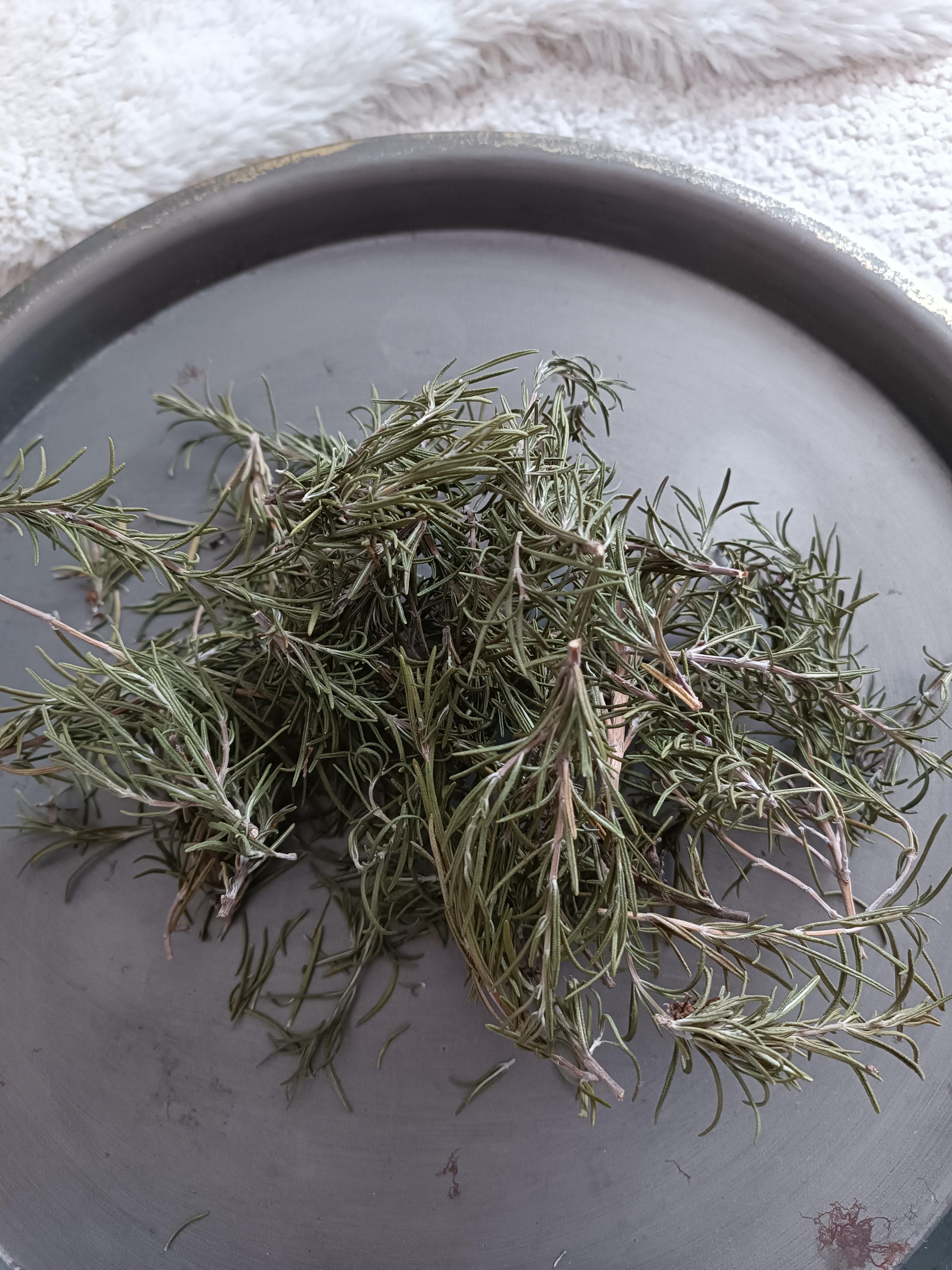 troc de troc romarin officinal fdp inclus image 0