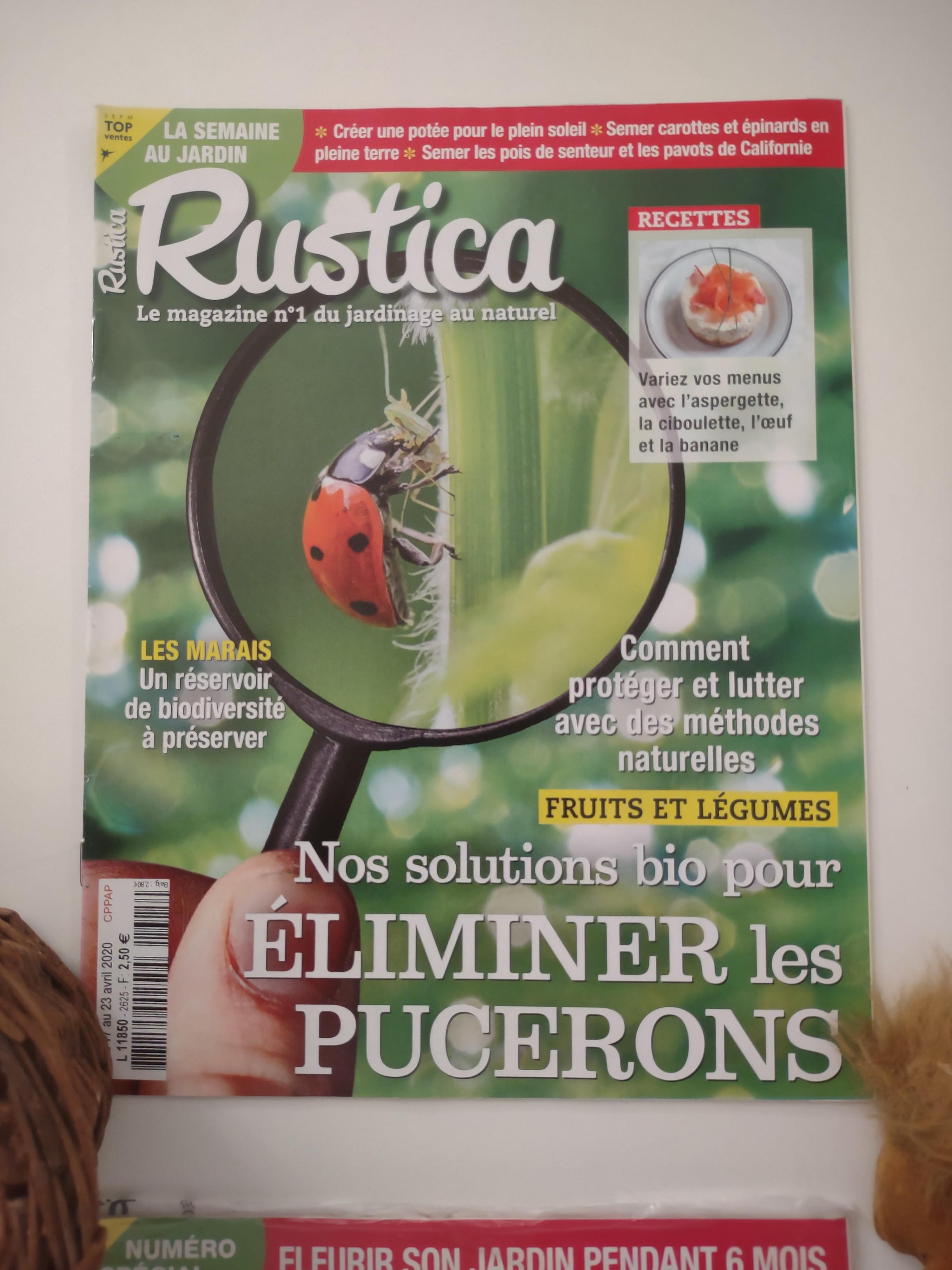 troc de troc magazine rustica x8 image 2