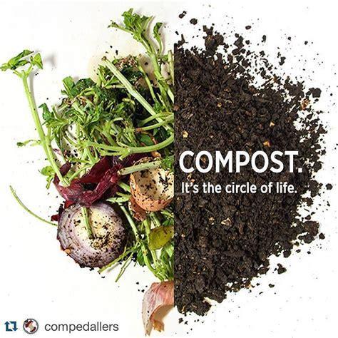 troc de troc compost (amendement et fertilisant) / 1 kg image 0