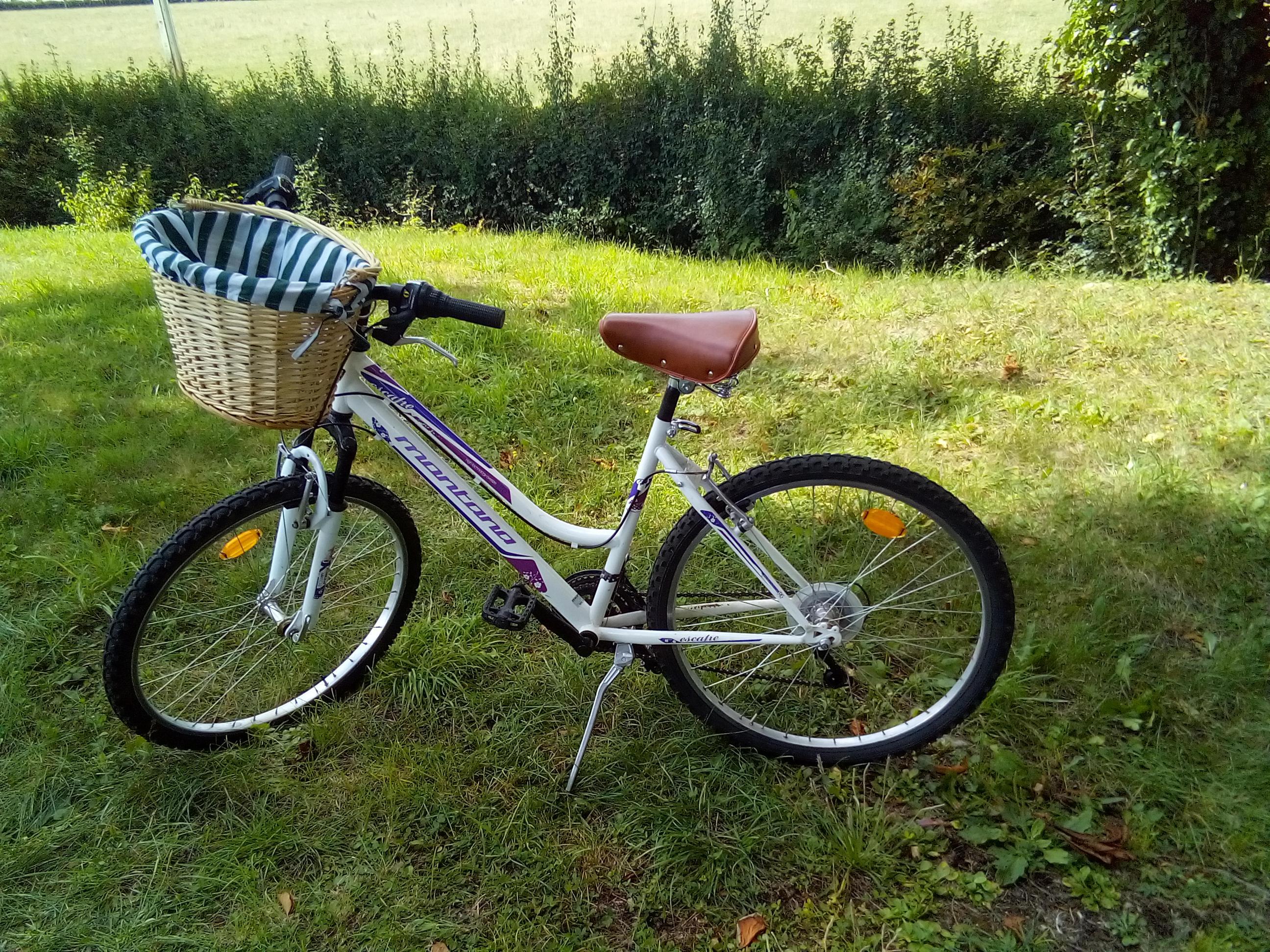 troc de troc vélo ado ou femme image 0