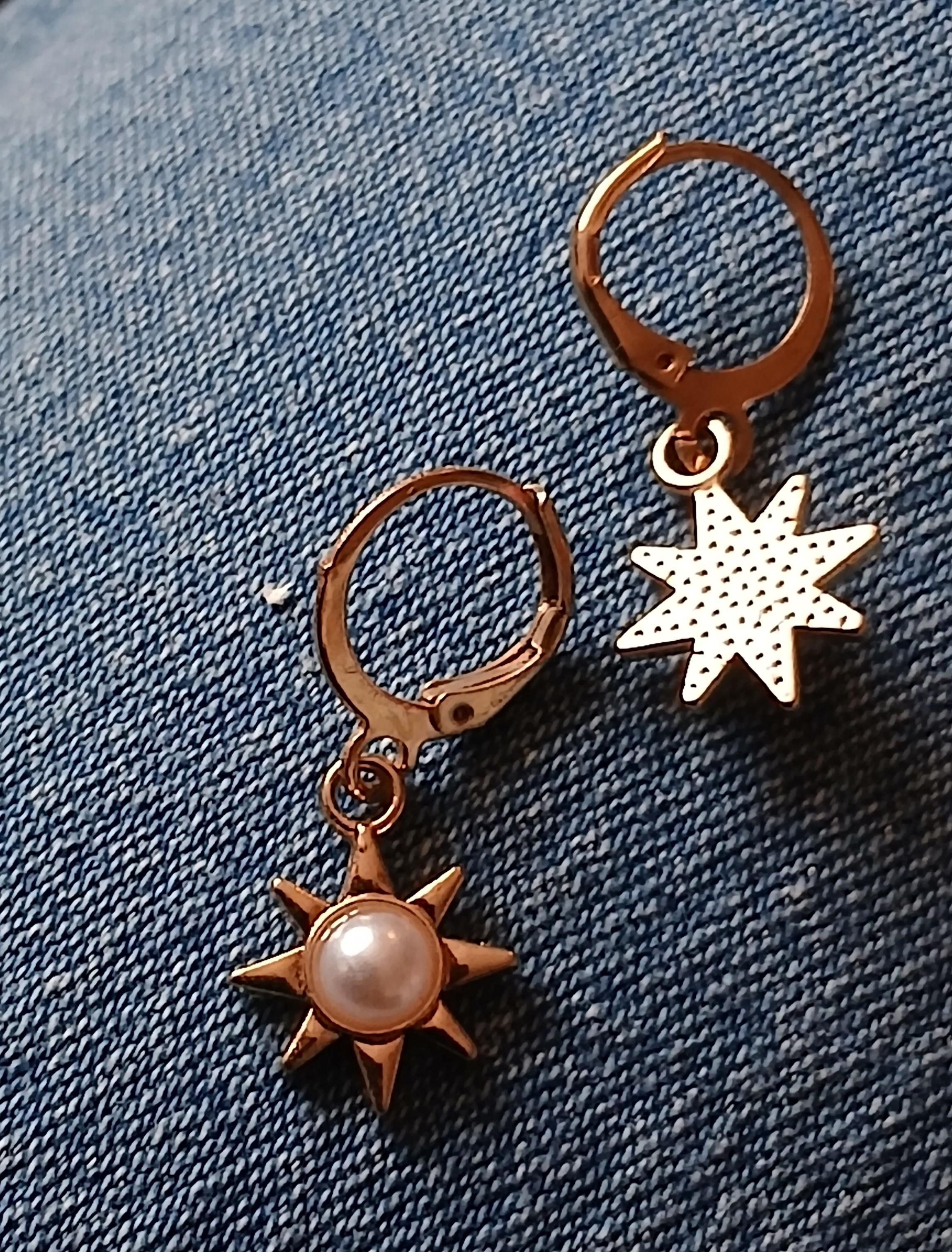 troc de troc une boucle d oreille image 2