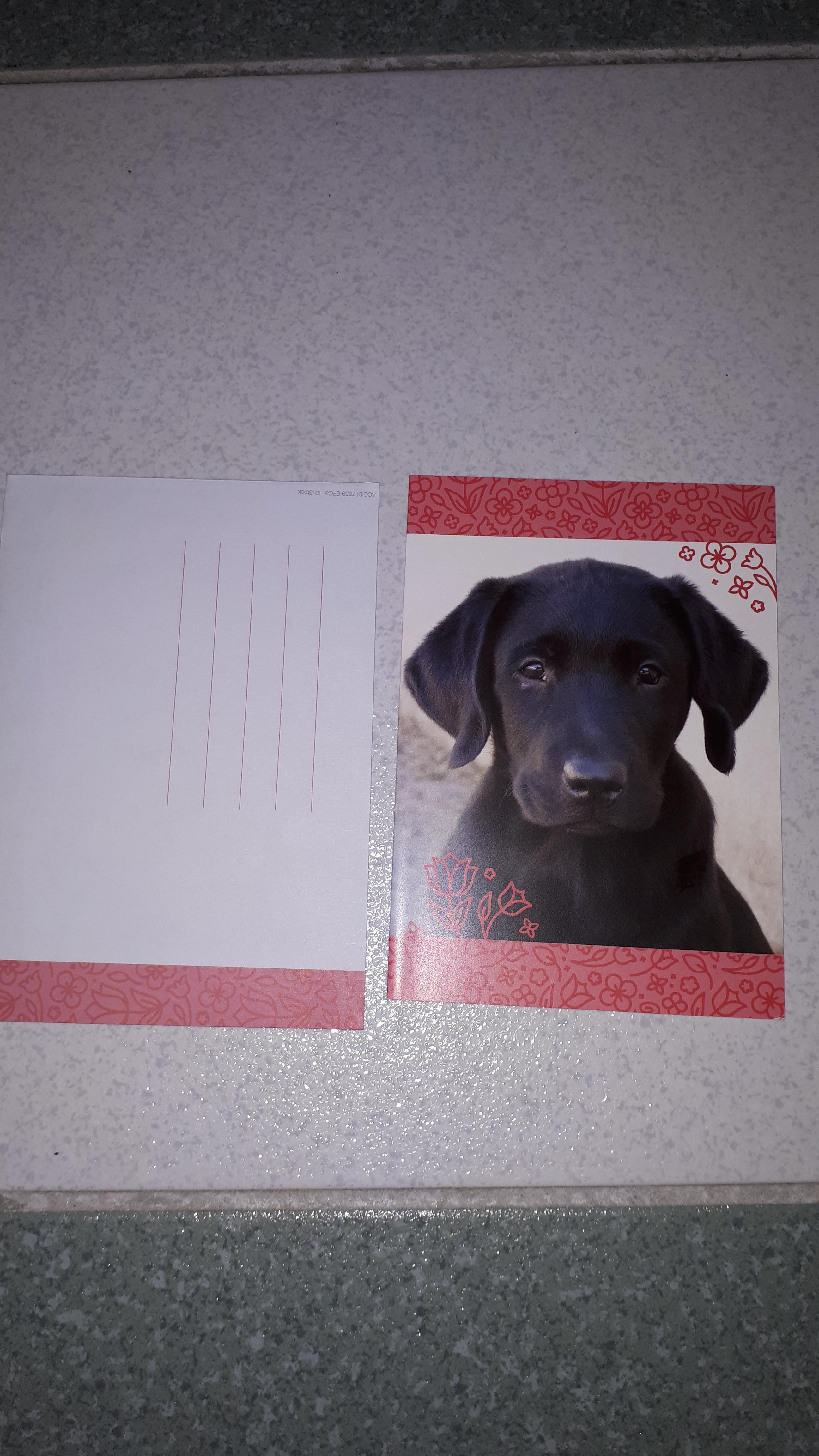 troc de troc carte postale chien image 0