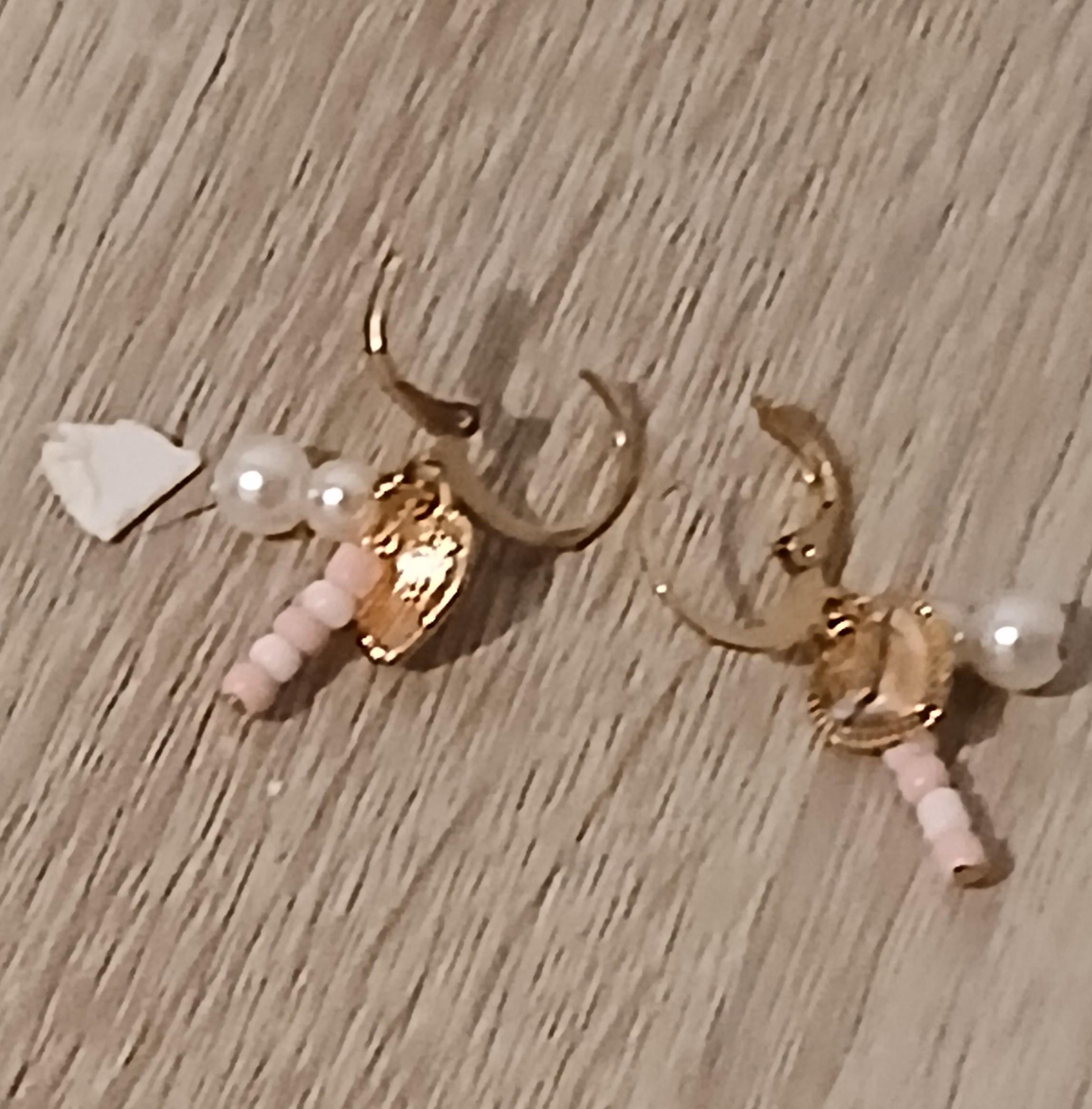 troc de troc reserver sophie une paire de boucle d oreille image 1